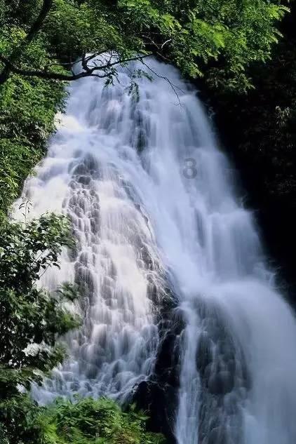 模拟山羊